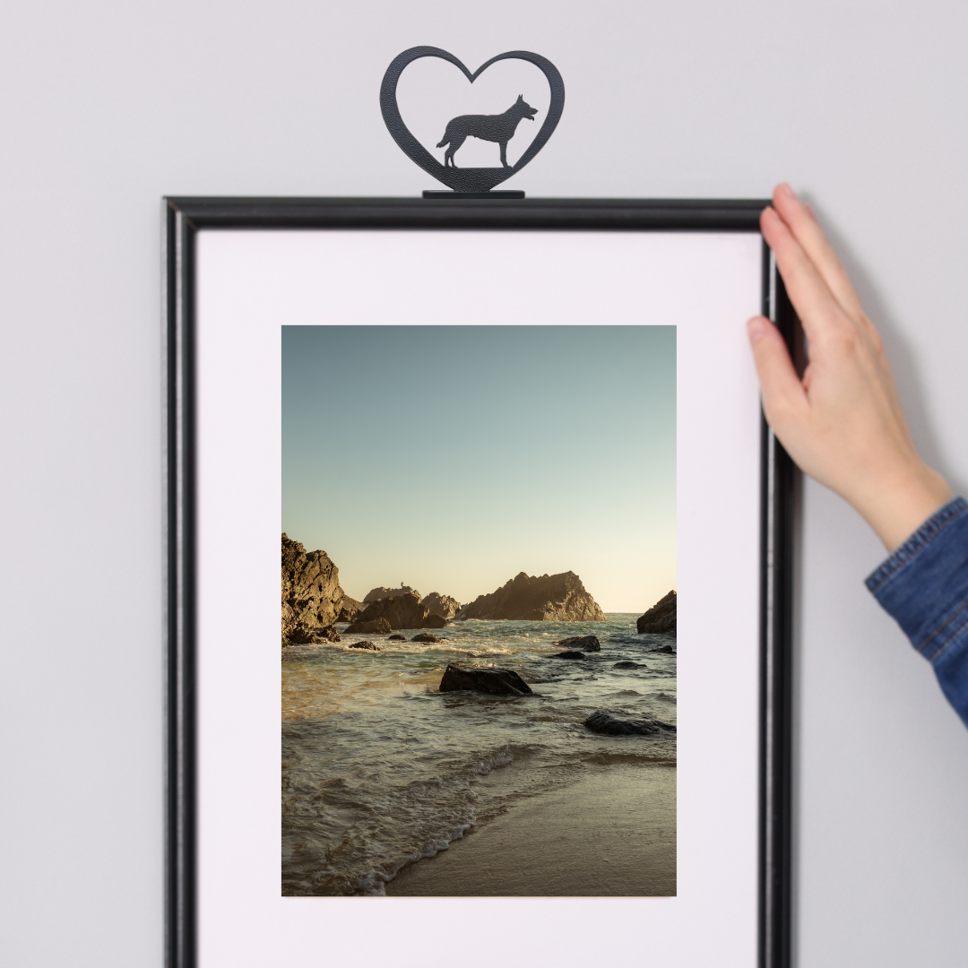 Australian Kelpie - ShadowShapes