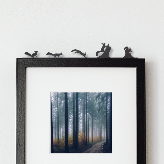 Squirrel Group - ShadowShapes
