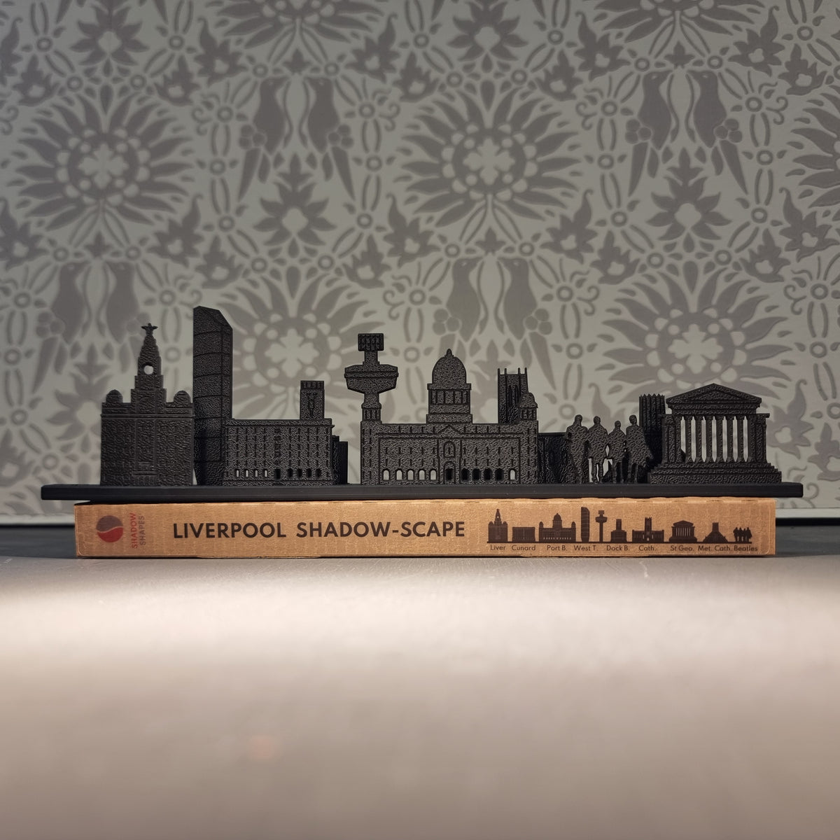 Liverpool Shadow-Scape