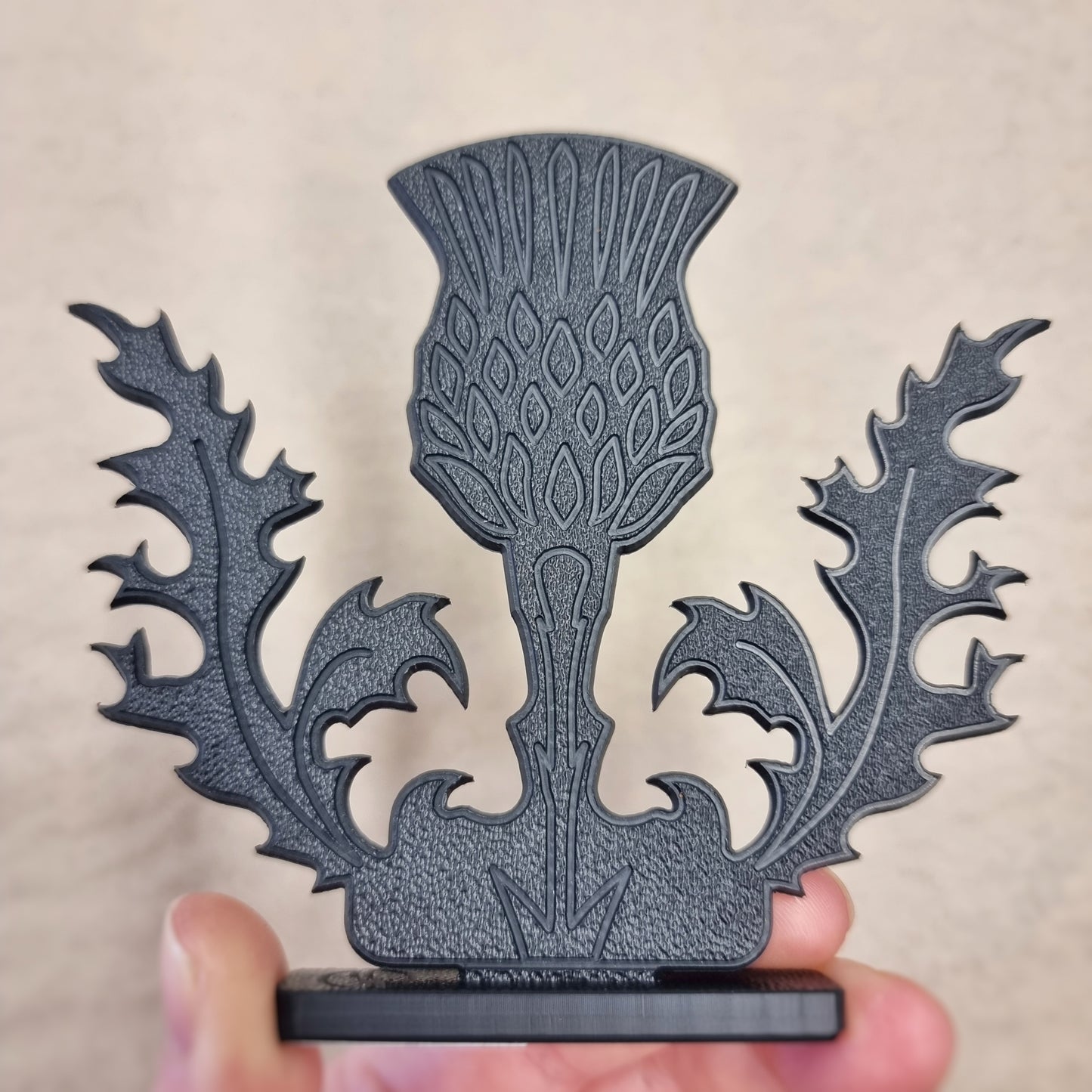 Scottish Thistle - ShadowShapes