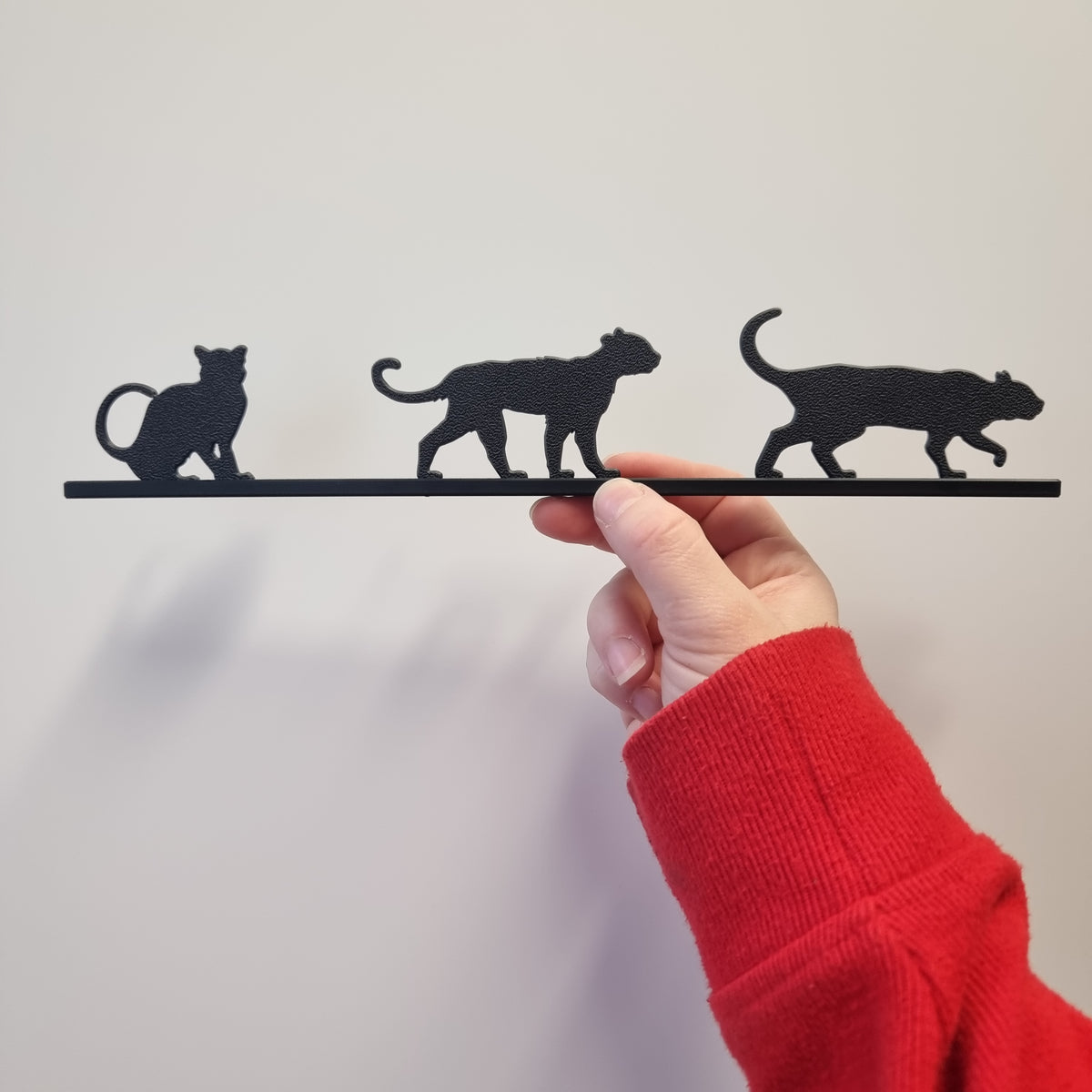 New Cat Species - Tilcayo Tiger Cat (Trio)