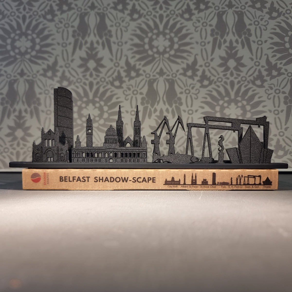 Belfast Shadow-Scape