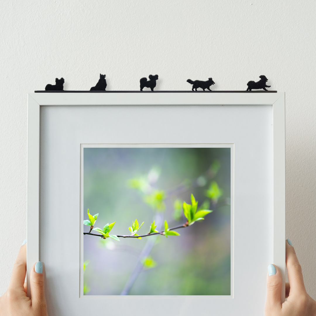 Papillon - ShadowShapes