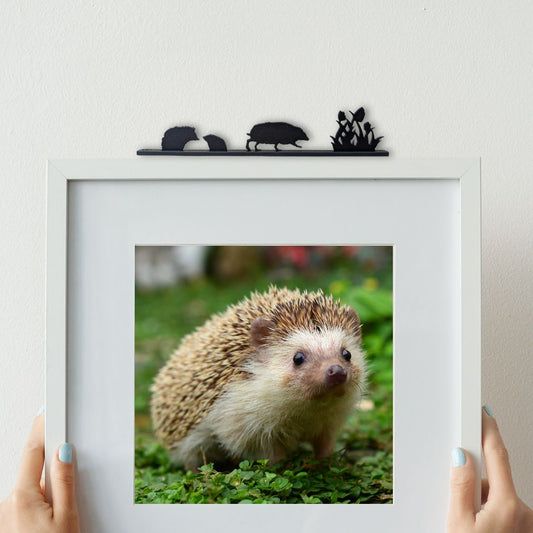 Hedgehog Family Group - ShadowShapes