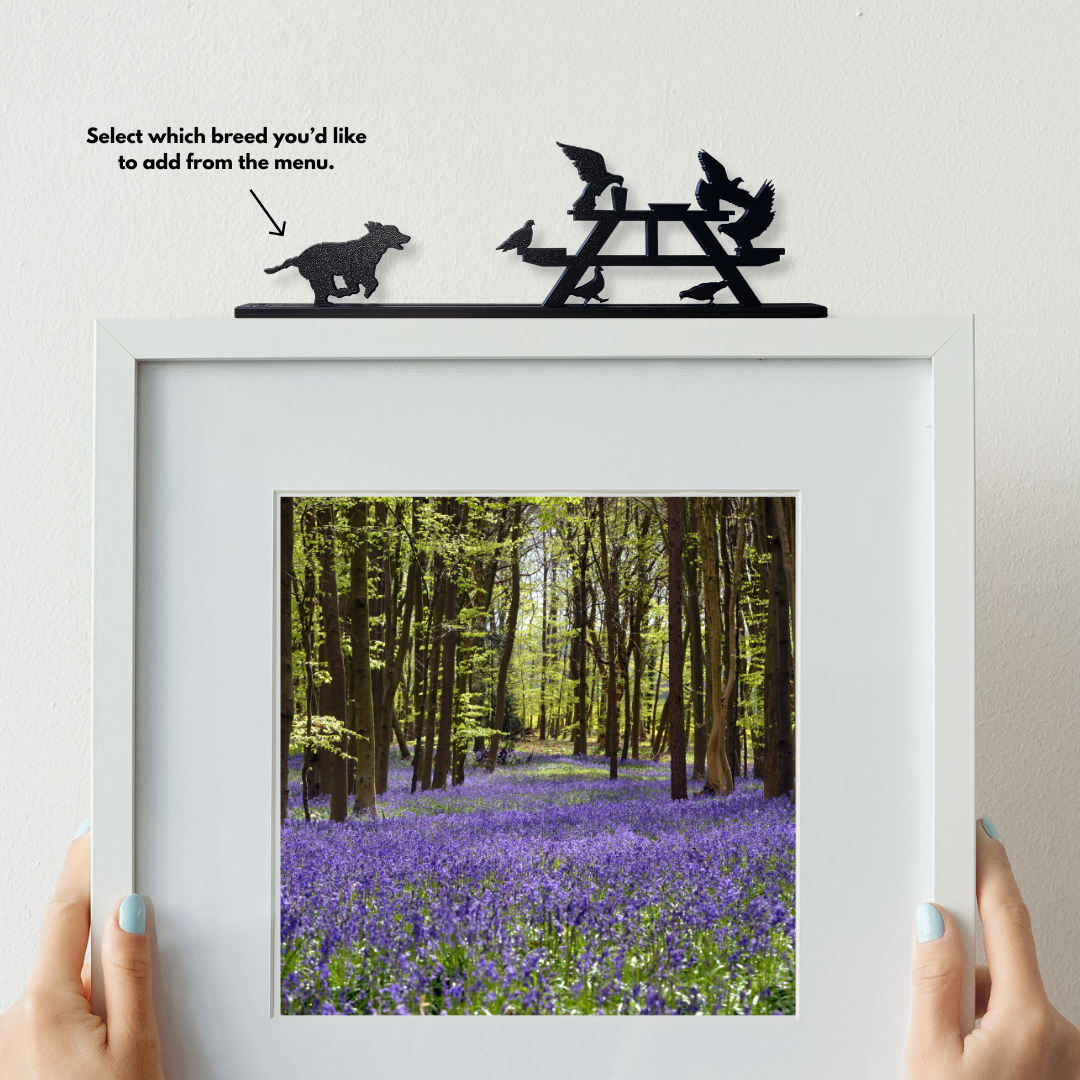 Picnic Patrol - Your Pet chasing off Pesky Pigeons (Choose from 24 Breeds)