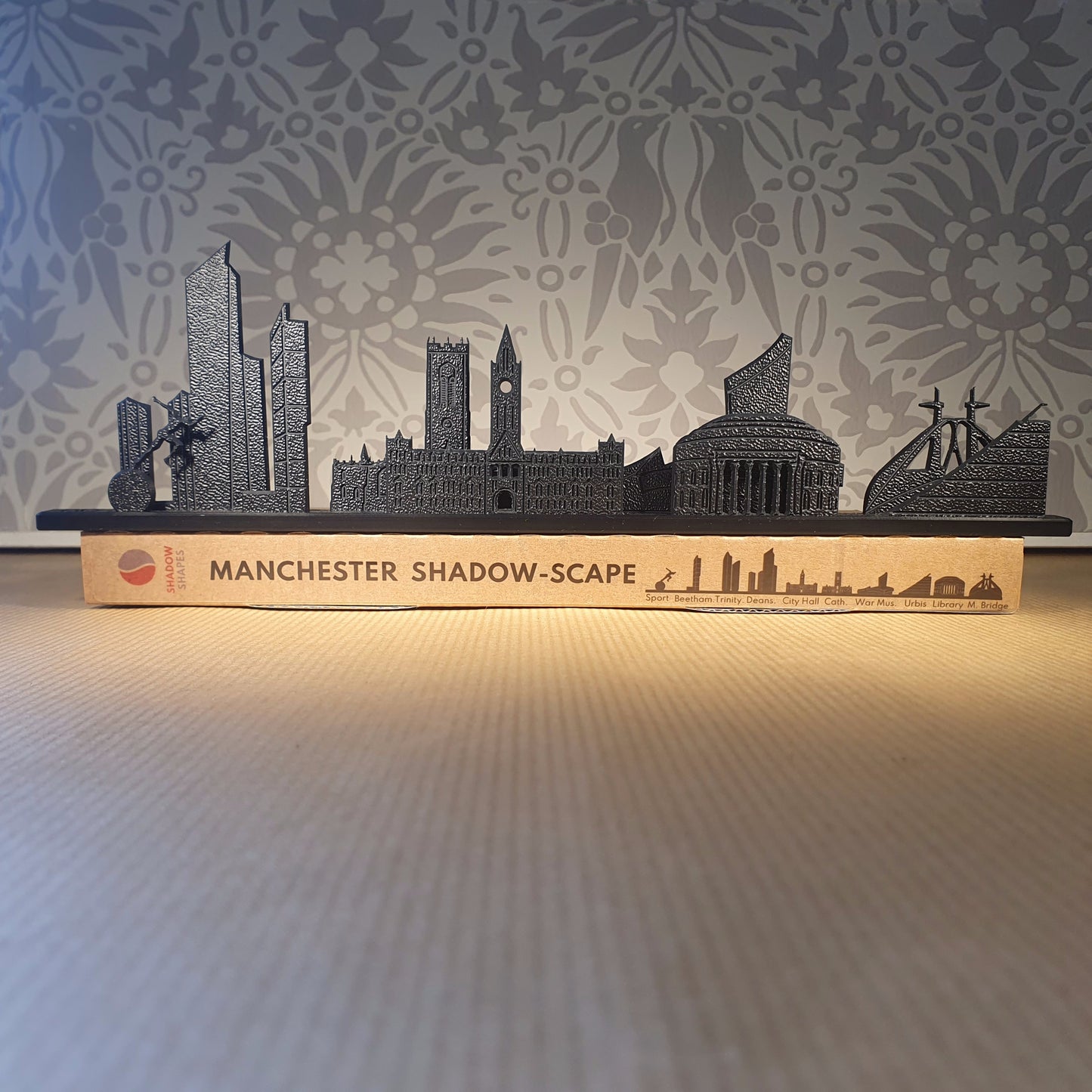 Manchester Shadow-Scape