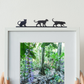 New Cat Species - Tilcayo Tiger Cat (Trio)