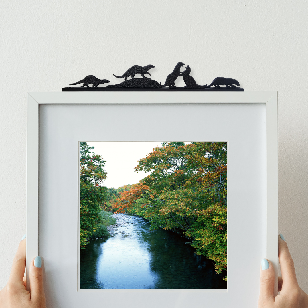 Otter Group